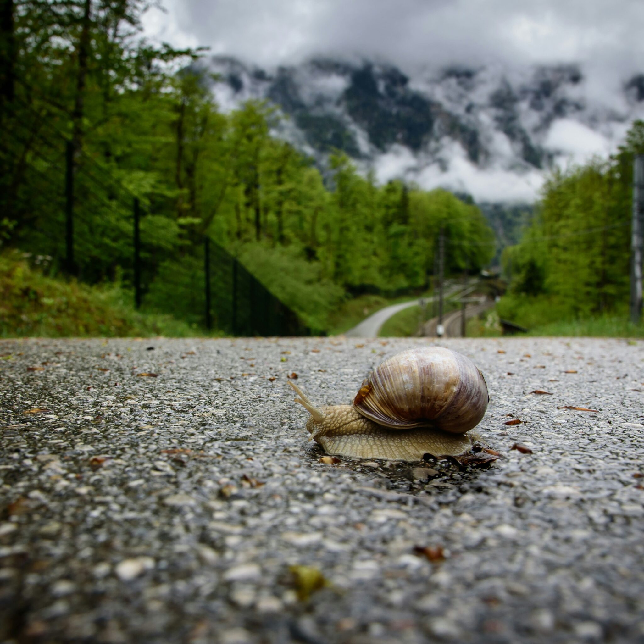 il tuo sito web è la tua casa digitale